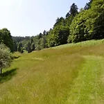 Hansel De La Ferme Du Schneeberg * Wangenbourg-Engenthal