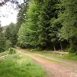 Hansel De La Ferme Du Schneeberg Holiday home