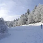 Hansel De La Ferme Du Schneeberg Casa vacanze Wangenbourg-Engenthal