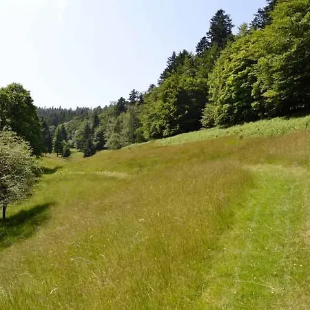 Hansel De La Ferme Du Schneeberg * Wangenbourg-Engenthal