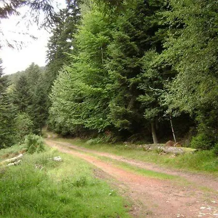 Hansel De La Ferme Du Schneeberg Tatil Evi