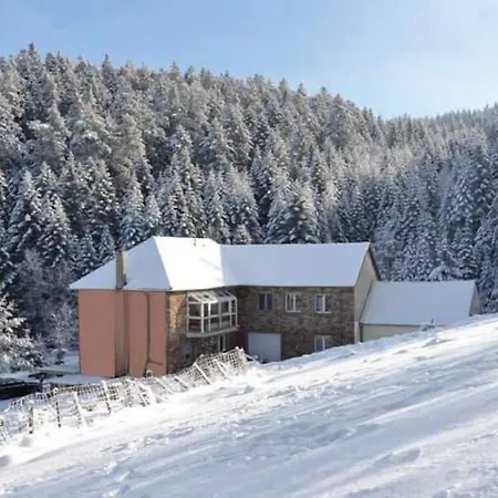 Hansel De La Ferme Du Schneeberg * Wangenbourg-Engenthal