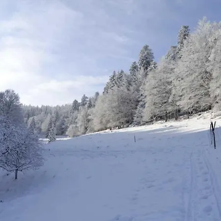 Hansel De La Ferme Du Schneeberg بيت للعطل Wangenbourg-Engenthal