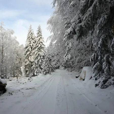 Hansel De La Ferme Du Schneeberg
