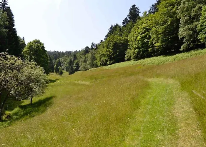Hansel De La Ferme Du Schneeberg * Wangenbourg-Engenthal