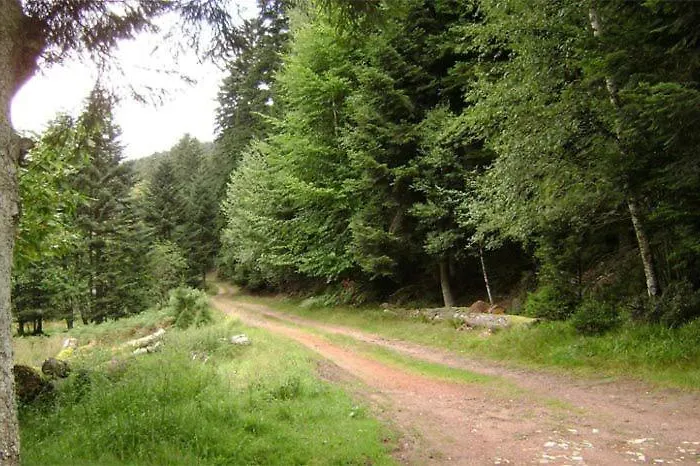 Hansel De La Ferme Du Schneeberg Ferienhaus