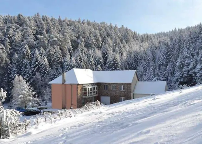 Hansel De La Ferme Du Schneeberg * Wangenbourg-Engenthal