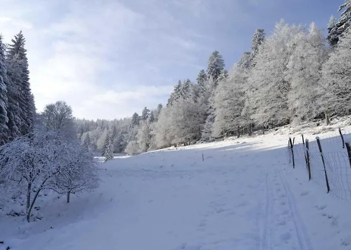 Hansel De La Ferme Du Schneeberg Semesterbostad Wangenbourg-Engenthal
