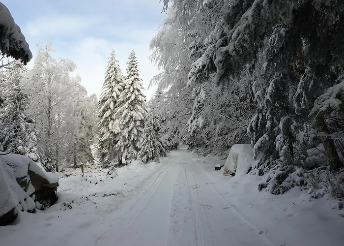 Hansel De La Ferme Du Schneeberg
